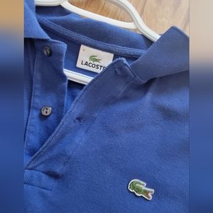 Medium lacoste polo